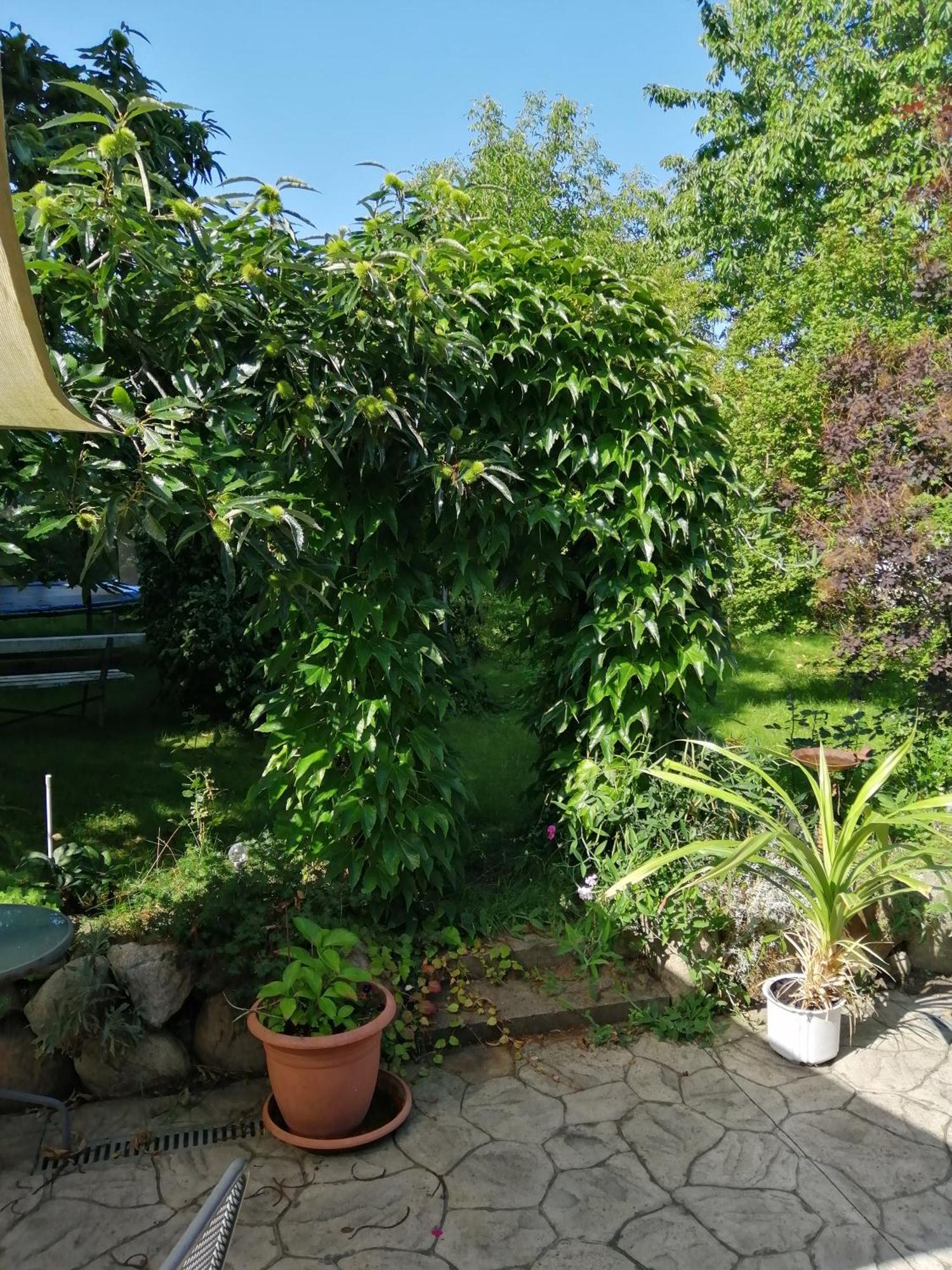 "Kleine Hedwig" Apartment พุทบัส ภายนอก รูปภาพ